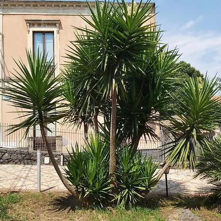 Furaha Etna Trecastagni