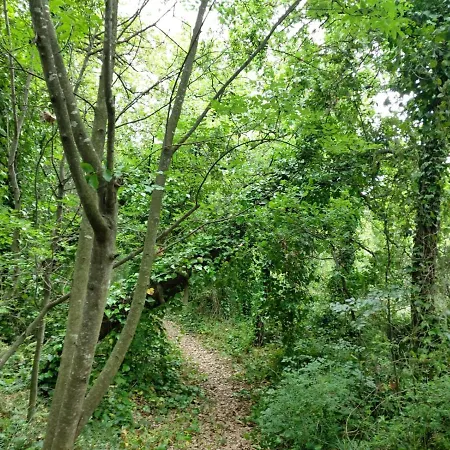 Furaha Etna Trecastagni Orman Evi *